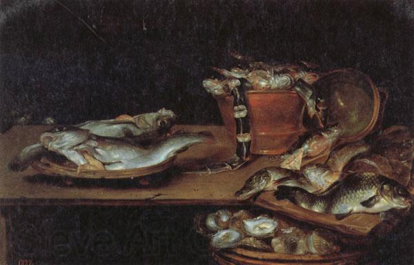 Alexander Adriaenssen Still Life with Fish,Oysters,and a Cat France oil painting art